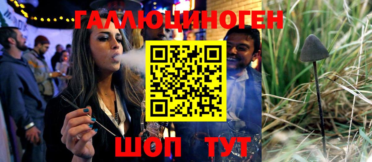 Псилоцибиновые грибы Cubensis Гатчина