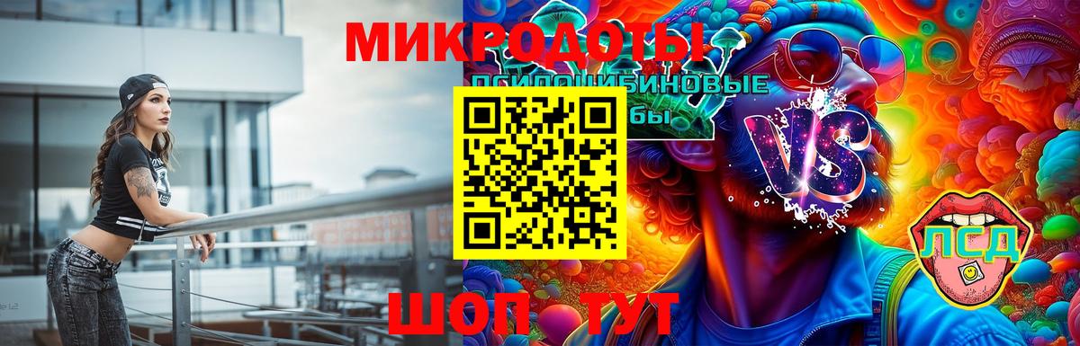 Галлюциногенные грибы MAGIC MUSHROOMS  Вход с VPN  Гатчина  Псилоцибиновые грибы Psilocybe 